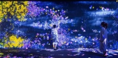teamLab——風(fēng)靡全球的沉浸式網(wǎng)紅展項(xiàng)體驗(yàn)！